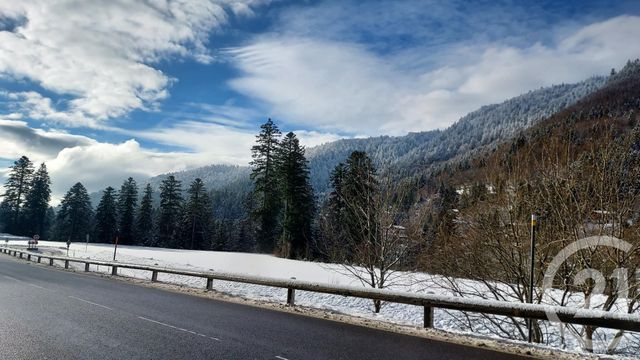 Appartement à vendre - 2 pièces - 21.0 m2 - LA BRESSE - 88 - LORRAINE - Century 21 Monts Et Vallées