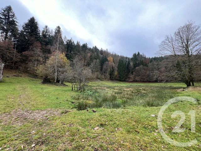 terrain à vendre - 5150.0 m2 - THIEFOSSE - 88 - LORRAINE - Century 21 Monts Et Vallées