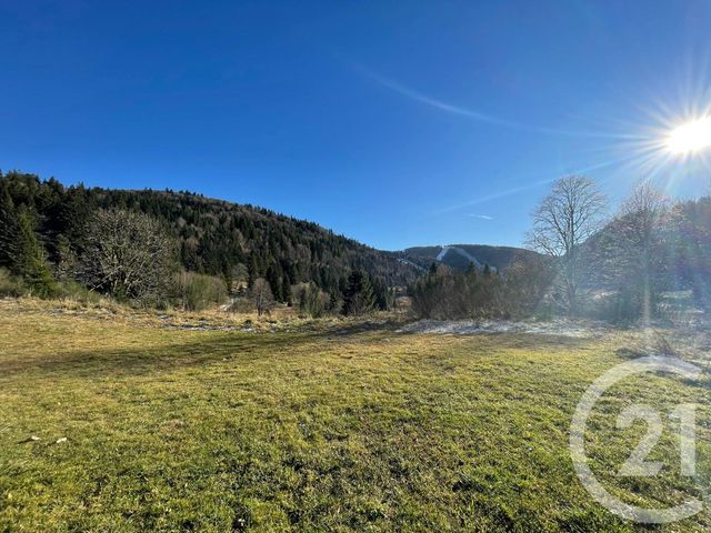 Appartement à vendre - 7 pièces - 109.6 m2 - LA BRESSE - 88 - LORRAINE - Century 21 Monts Et Vallées